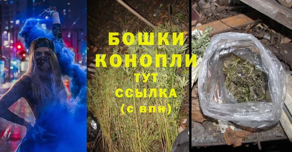 прущие грибы Абдулино