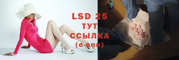 прущие грибы Абдулино