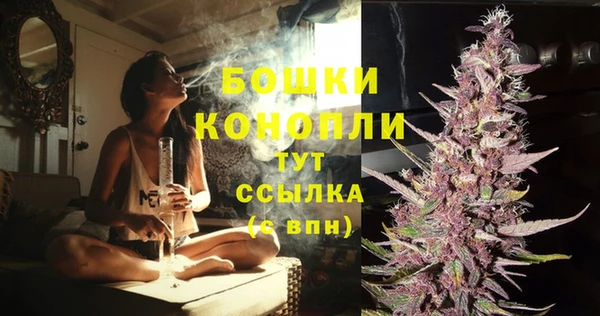 прущие грибы Абдулино