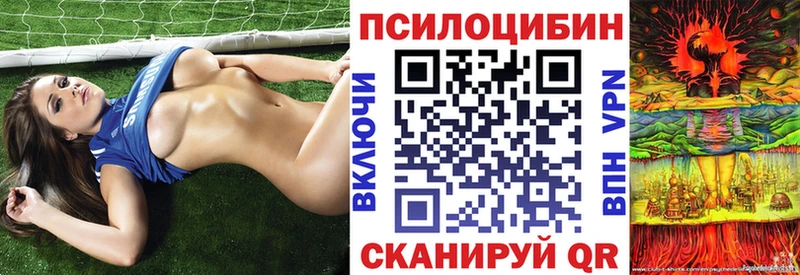 купить наркоту  Белая Калитва  Галлюциногенные грибы Psilocybine cubensis 